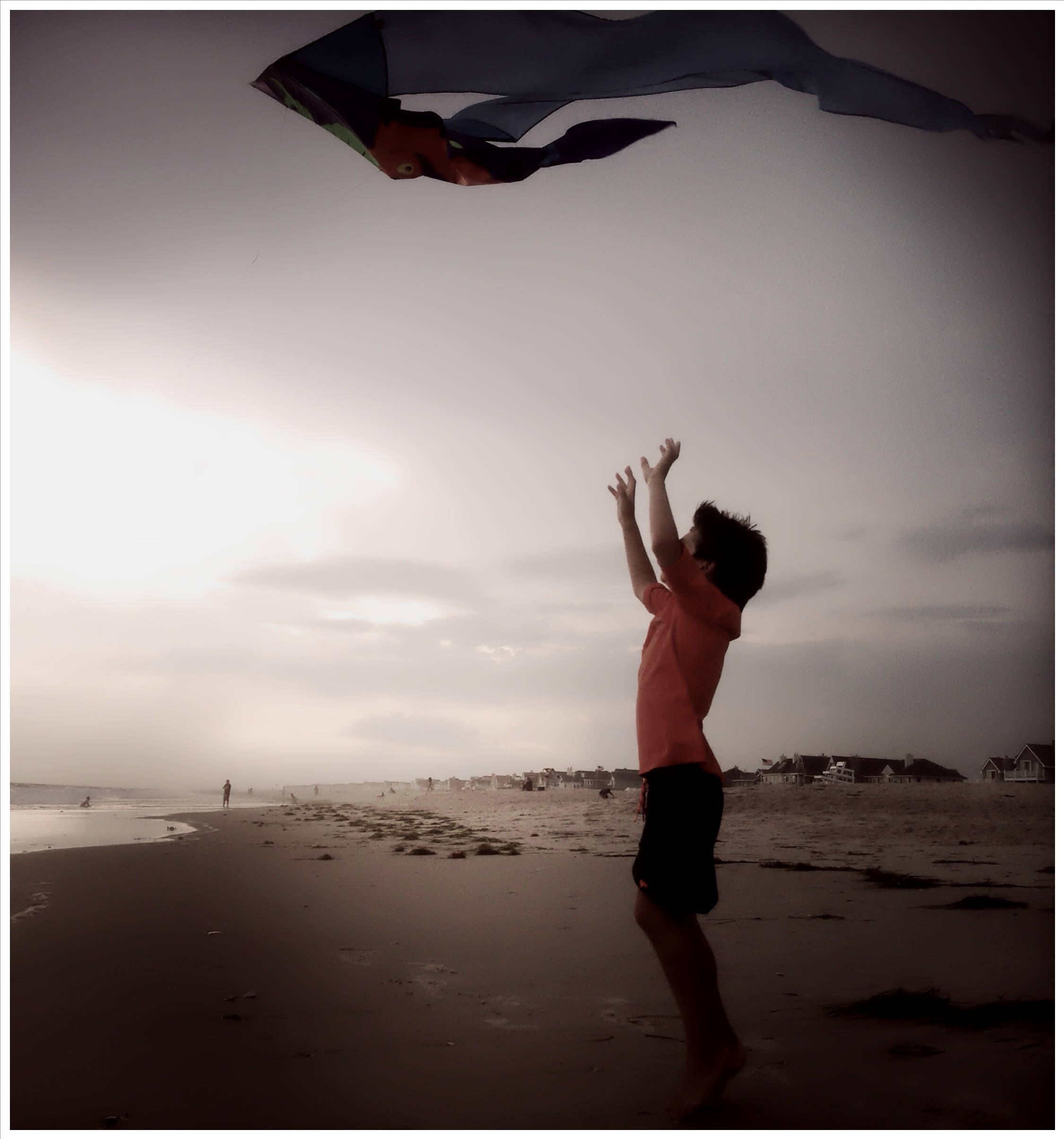 Boy Reaching for Kite